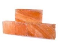 «Соляная плитка шлифованная 200х100х25мм.» – 1